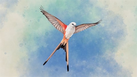 Wingspan Scores
